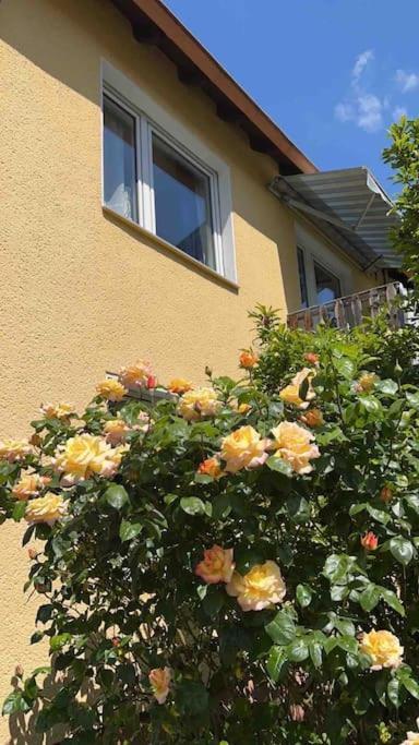 Duesseldorf Messe And Airport, 2-Bedroom Apartment With Kitchen And Garden Duisburg Dış mekan fotoğraf