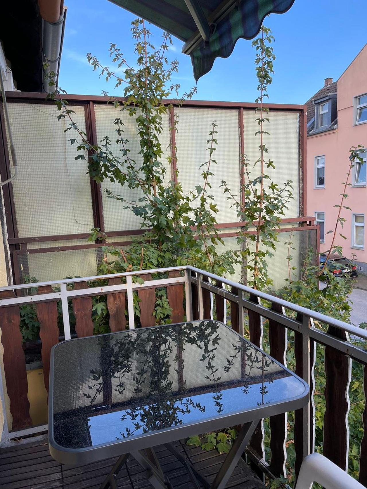 Duesseldorf Messe And Airport, 2-Bedroom Apartment With Kitchen And Garden Duisburg Dış mekan fotoğraf